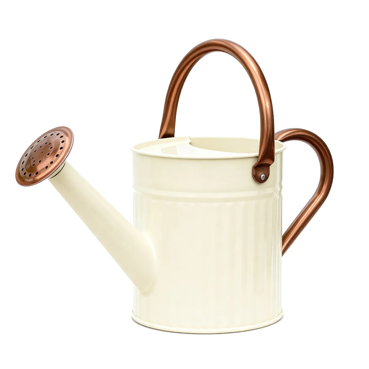 Wayfair watering can