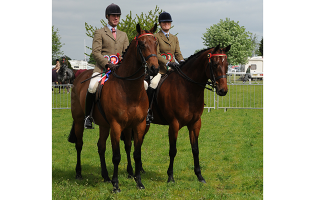 Nottinghamshire County Show 14.05.16 Riding Horse No. 89 R/Horse Champion &amp;amp; No. 82 Res. (R)