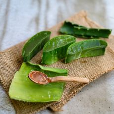Slices of aloe vera and a tiny spoon on a piece of burlap