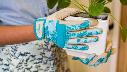 hands in brightly coloured best gardening gloves pruning a climbing plant