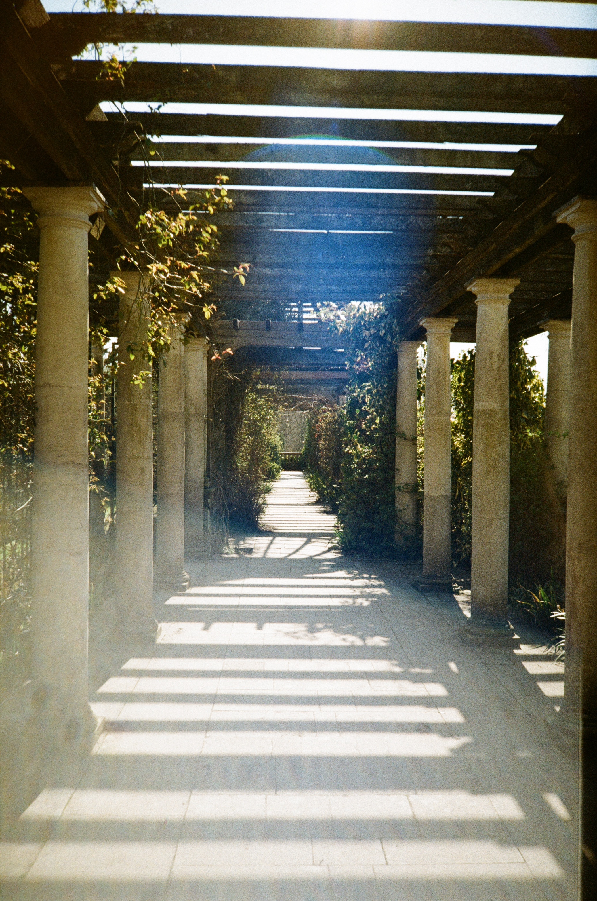 Scan of Lomo MC-A photograph taken on Kodak ColorPlus 200, showing scenes from London's Hampstead and Camden