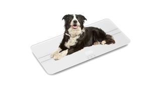 Unipaws Digital Pet Scale