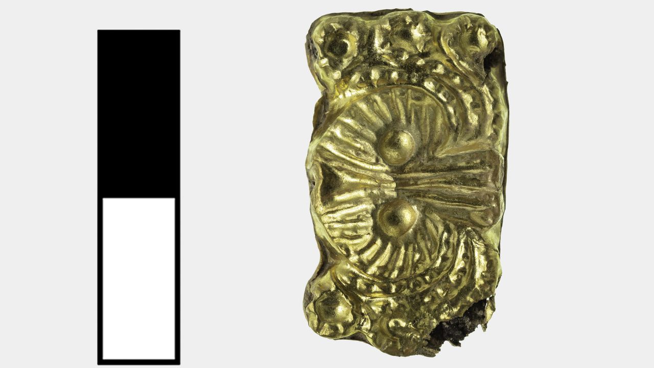 A type of gold jewelry called a "double argonaut." An argonaut is a type of octopus and this example depicts two of them.