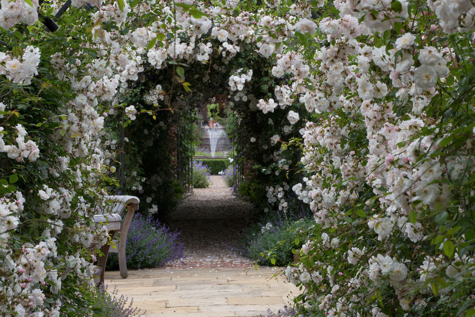 How to design a garden path – expert advice on creating the perfect ...