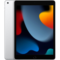 Apple iPad 10.2-inch (9th gen) – 256GB, Silver:&nbsp;was $479.99, now $399.99 at Best Buy
