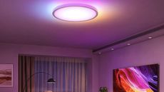 Govee Ceiling Light Pro