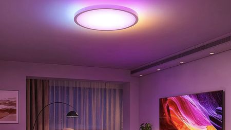 Govee Ceiling Light Pro