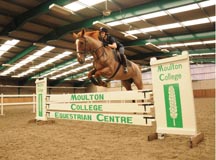 06_FE_Equine%20Studies%20jumping%20planks.jpg