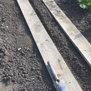 Trowel and wooden planks laying on soil in garden