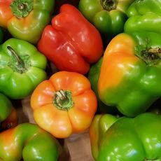 Green red and orange peppers