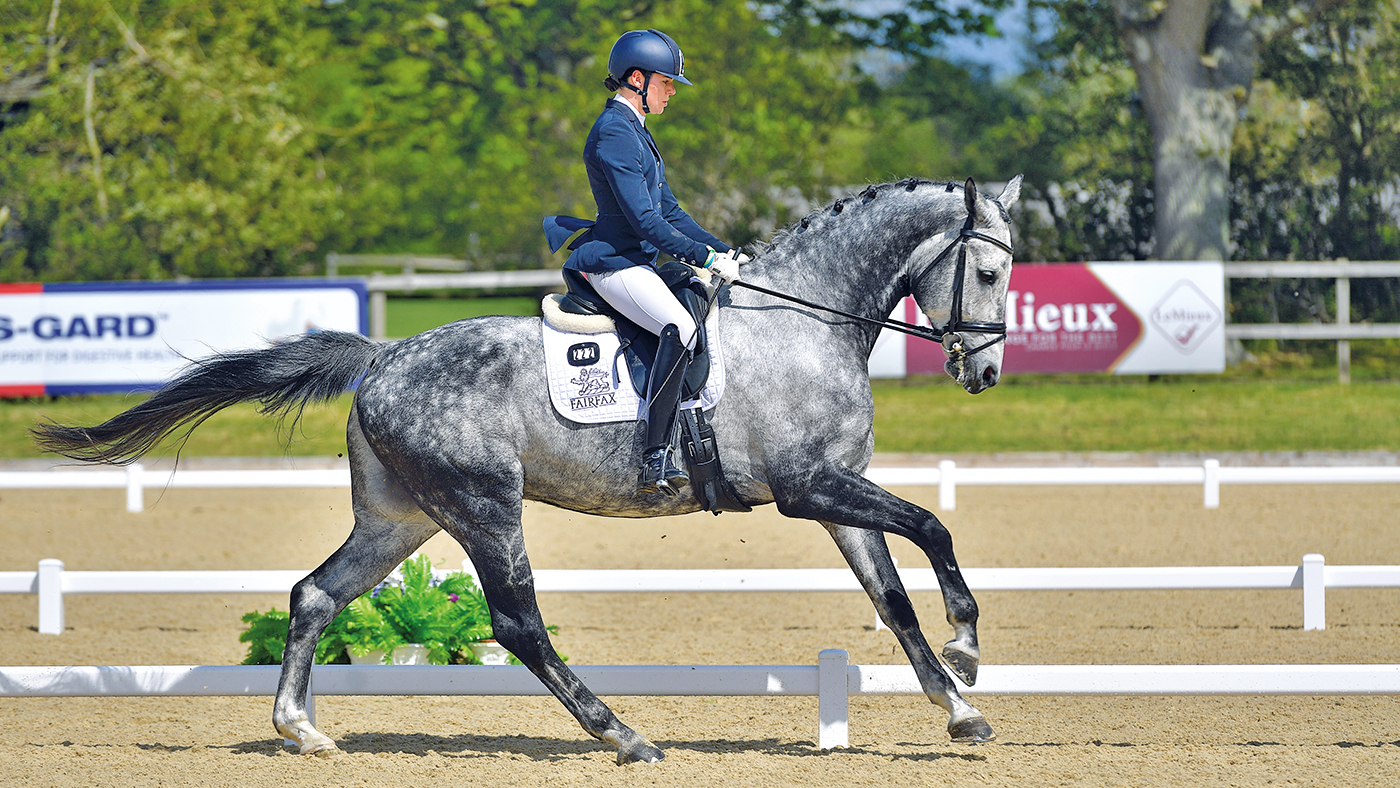 HAH307.dr_hickstead.fidalgo_classic_hickstead_report_spidge_comm1use.jpg