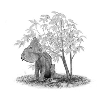 A Leptoceratops gracilis sits under a Magnolia tree; The Magnolia was amongst the first flowering plants to evolve, some 95 million years ago.