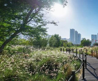 nature reserve on city outskirts