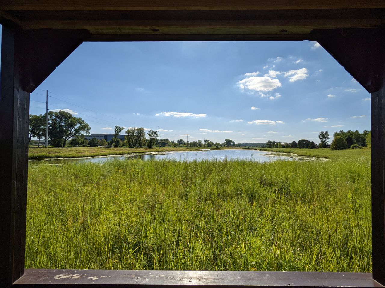 Pixel 5a camera samples