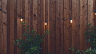Brightech Ambience Pro LED Outdoor String Lights on fence