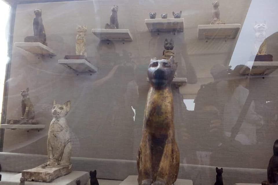 HUNDREDS OF ANCIENT EGYPTIAN SARCOPHAGI CAT MUMMIES AND GOLD LEAFED STATUES UNEARTHED AT NECROPOLIS visual data 3