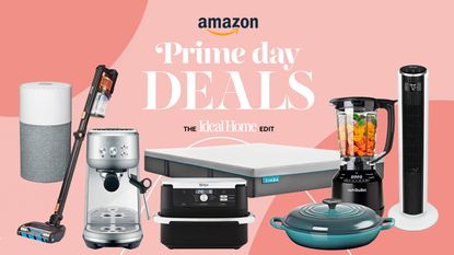 Cut-out of products including air purifier, cordless vacuum, coffee maker, mattress, air fryer, blue le creuset pan and fan on a pink background