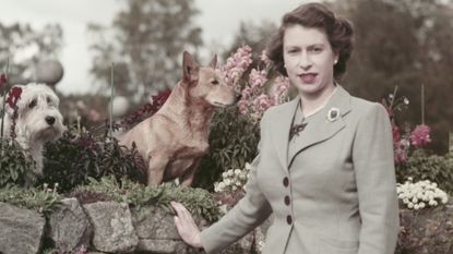 Queen Elizabeth with dogs at Balmoral