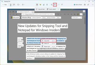 Snipping Tool copy selected text