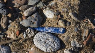 A tampon applicator disposed of on a beach