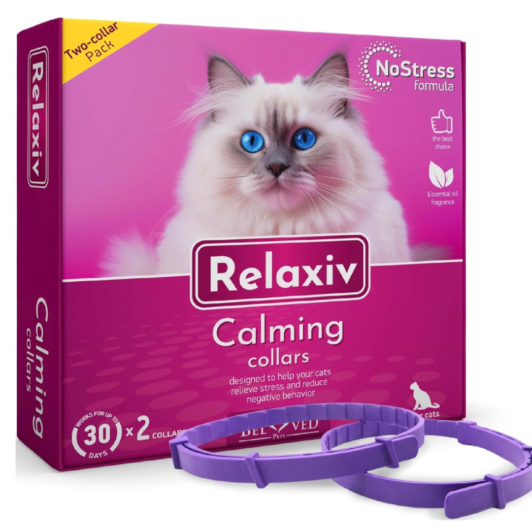 View of Best calming cat collars 2026 to help ease anxiety | PetsRadar
