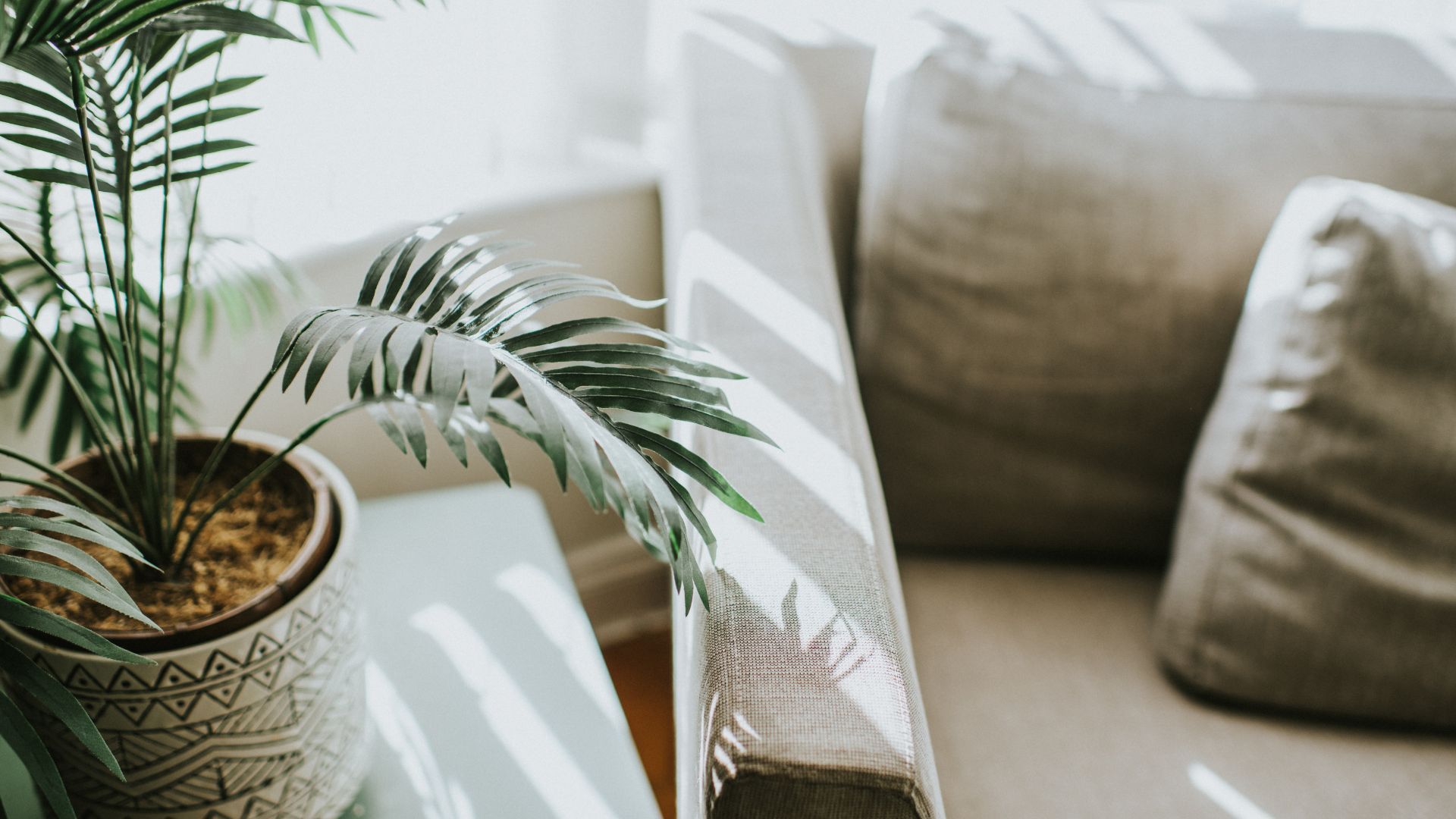 natural light coming through a window onto the furniture