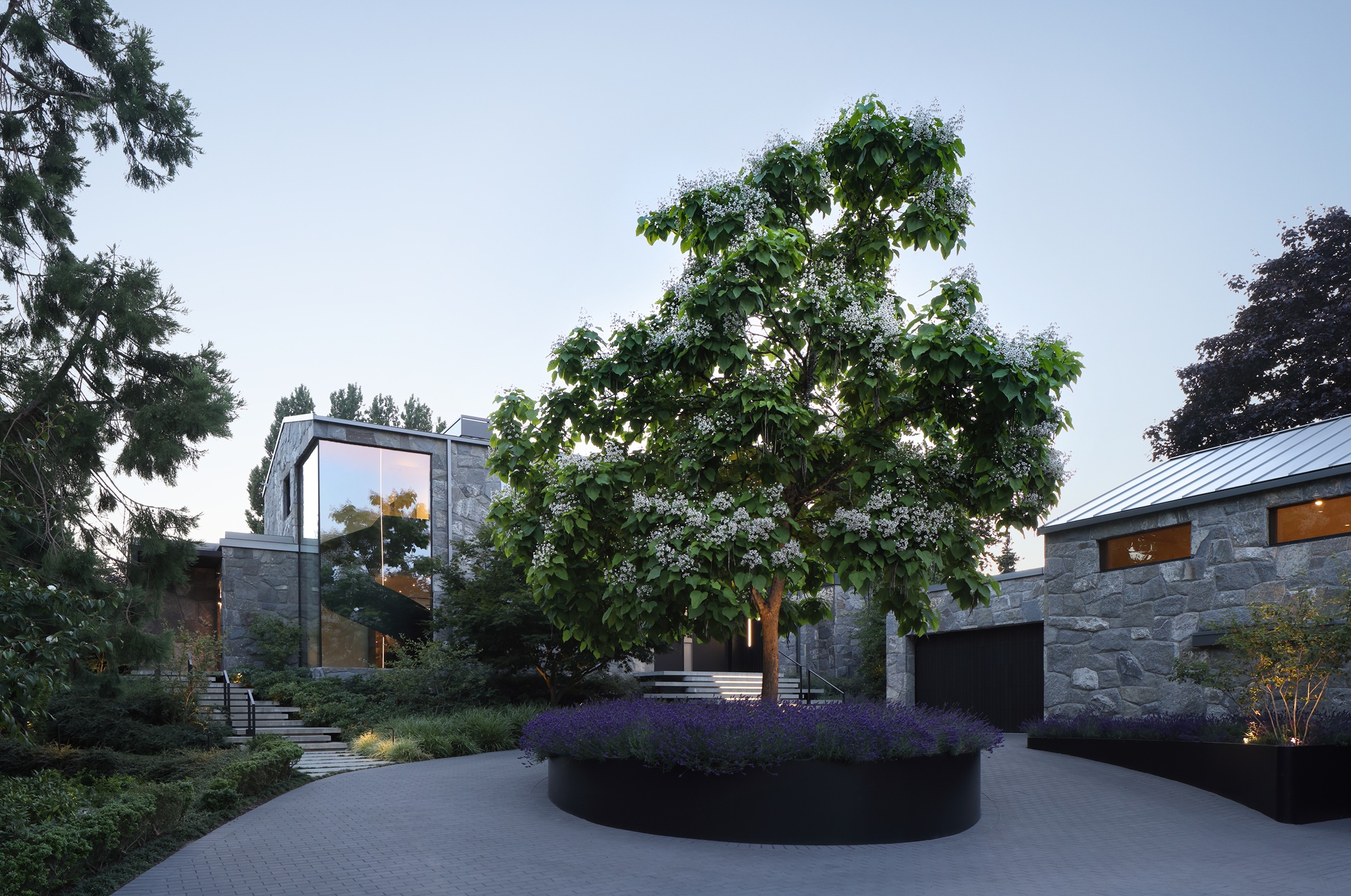 a modern home with a turning circle on driveway with a tree underplanted with lavender