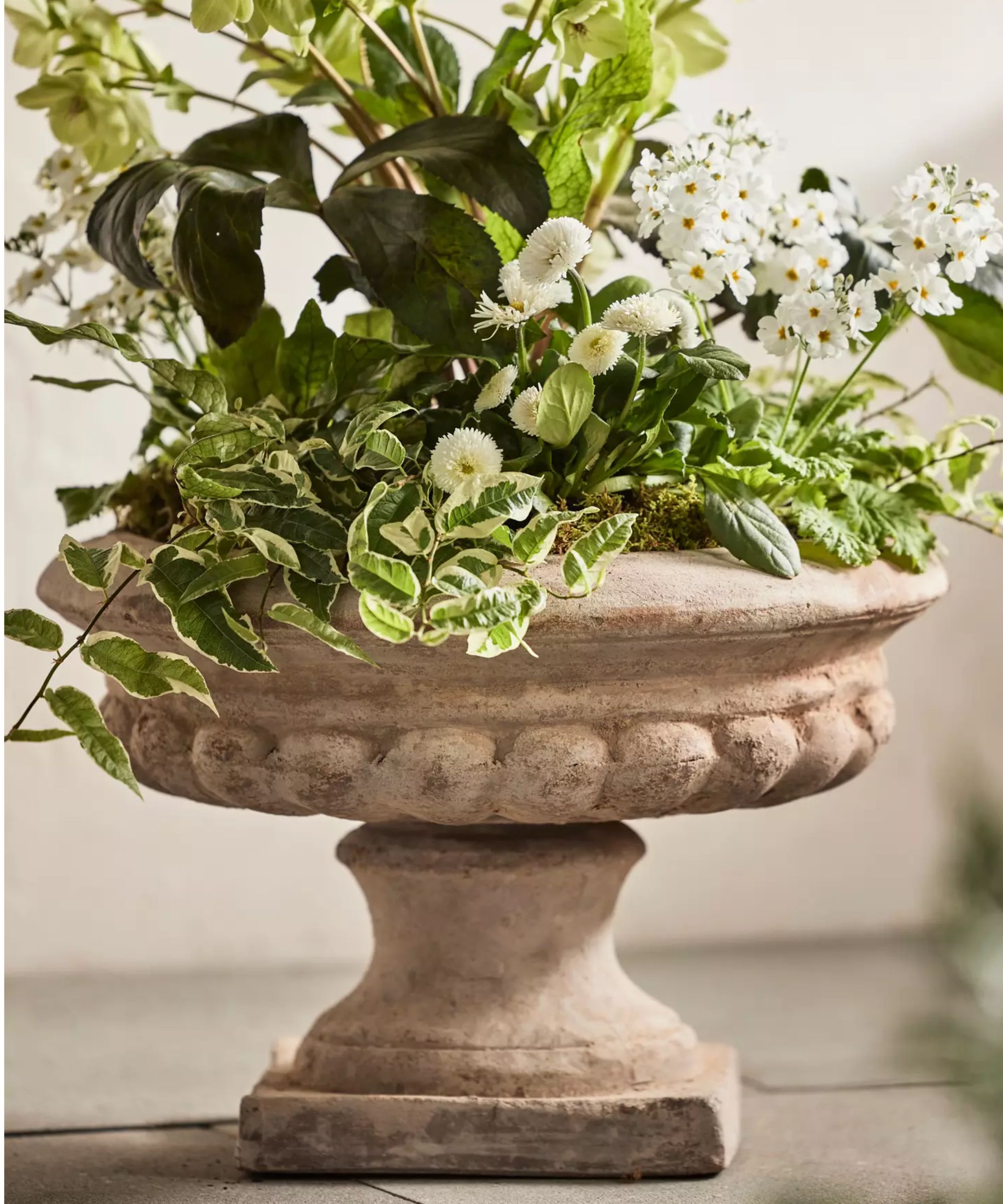 Classical Terracotta Urn Planter