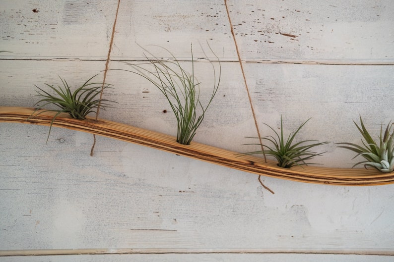 Large Wall Wave Air Plant Hanger, Air Plant Holder, Plant Display, Boho Decor, Indoor Plant Decor, Unique Planters, Gift for Plant Lovers