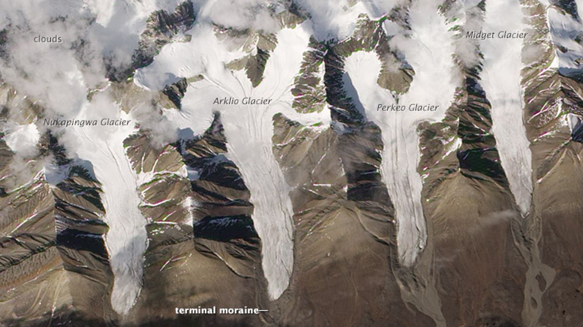 Satellite image of four elongated glaciers next to one another 