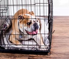 OxGord Dog Crate