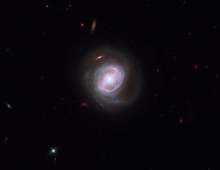 A view of the galaxy Mrk 817 as seen by Hubble