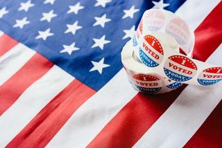 voting and politics