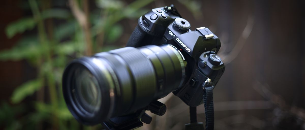 The OM System OM-1 camera body, against a woodland background