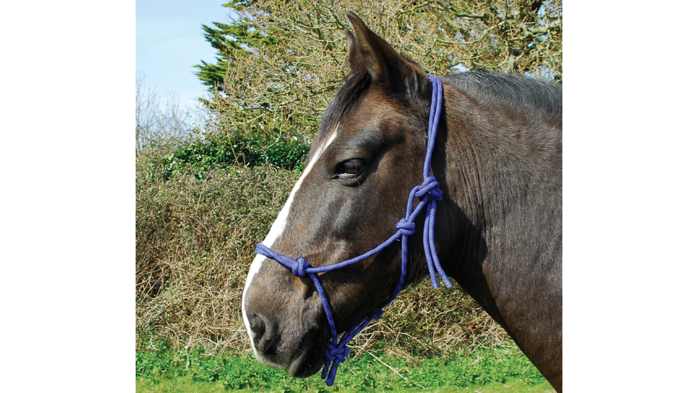 Rhinegold Rope Halter