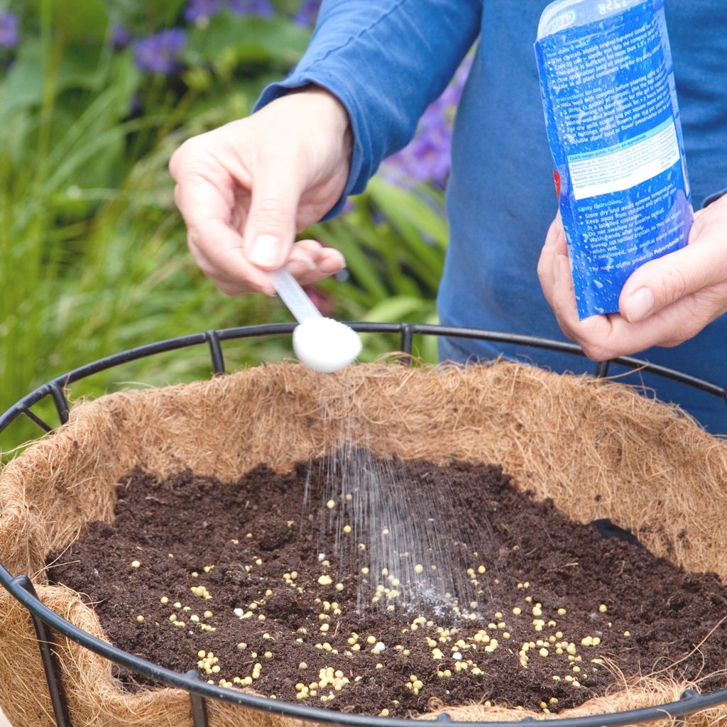 How to plant a hanging basket an easy guide Ideal Home