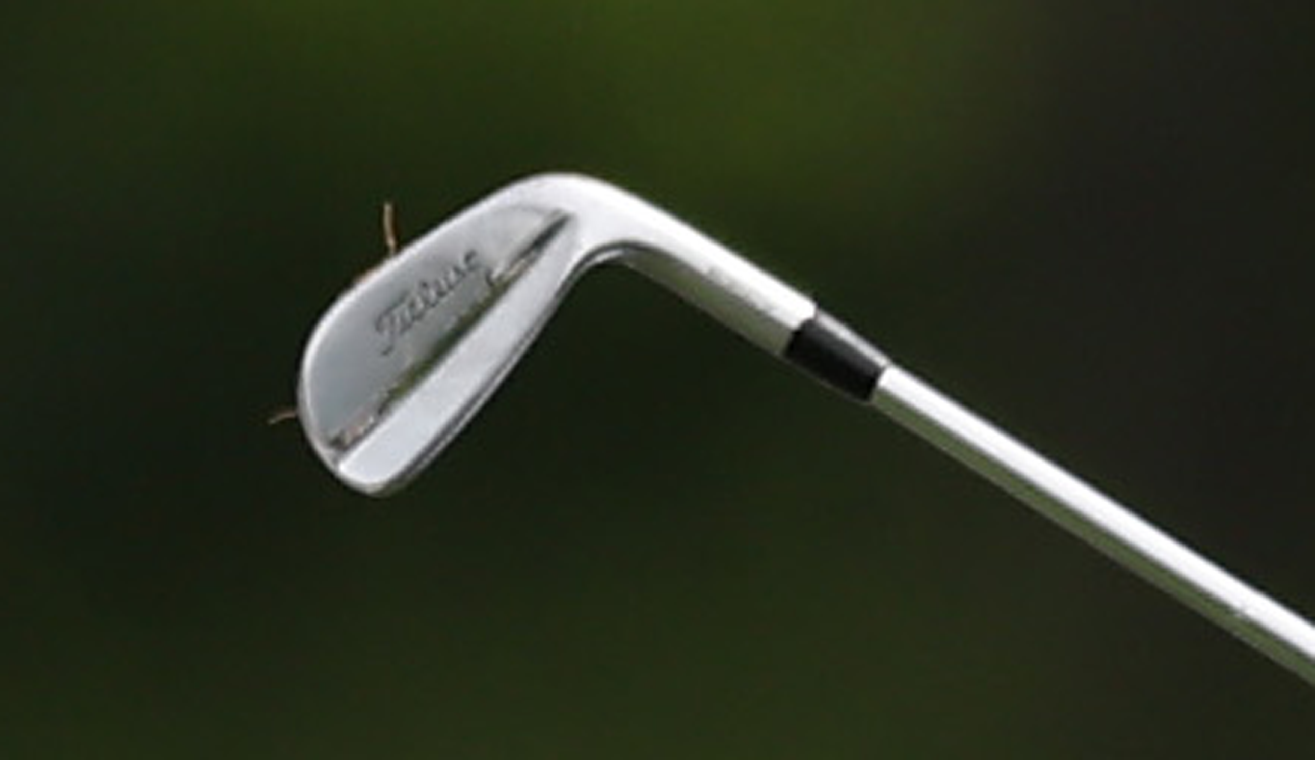 A close-up of Cameron Young's golf iron