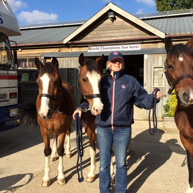 Annas ponies