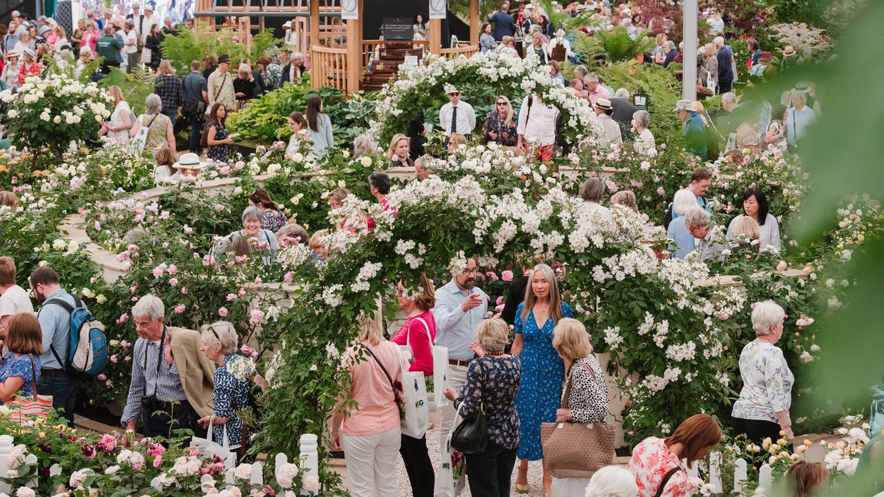 chelsea flower show