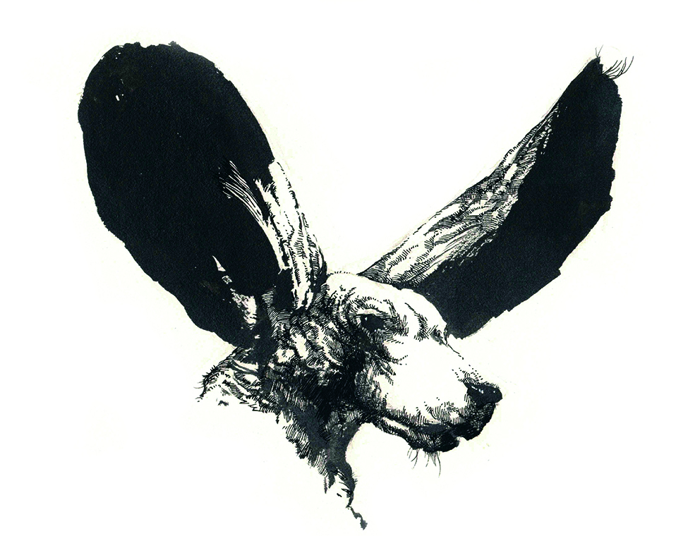 Absurd art; a dog with huge bat ears