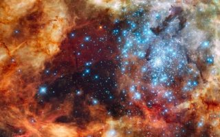 Hubble Views Grand Star-Forming Region
