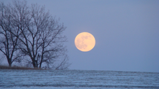 Photograph of a full moon.