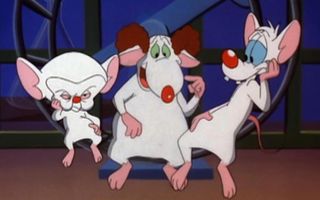 Pinky and the Brain (1995 - 1998)