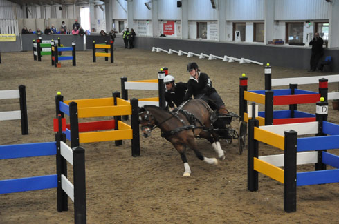 Emily Ham at the Indoor Carriage Driving Championships 2014