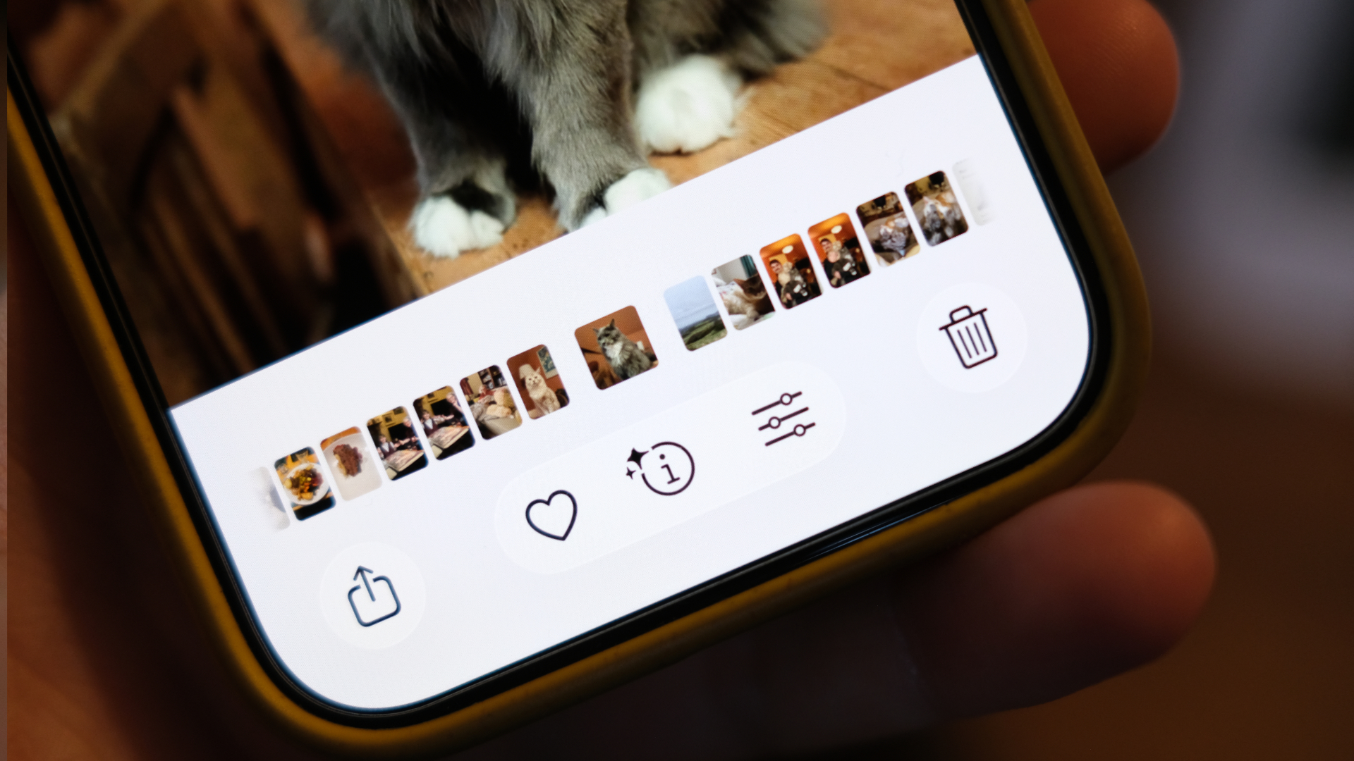iPhone Photos Info Button