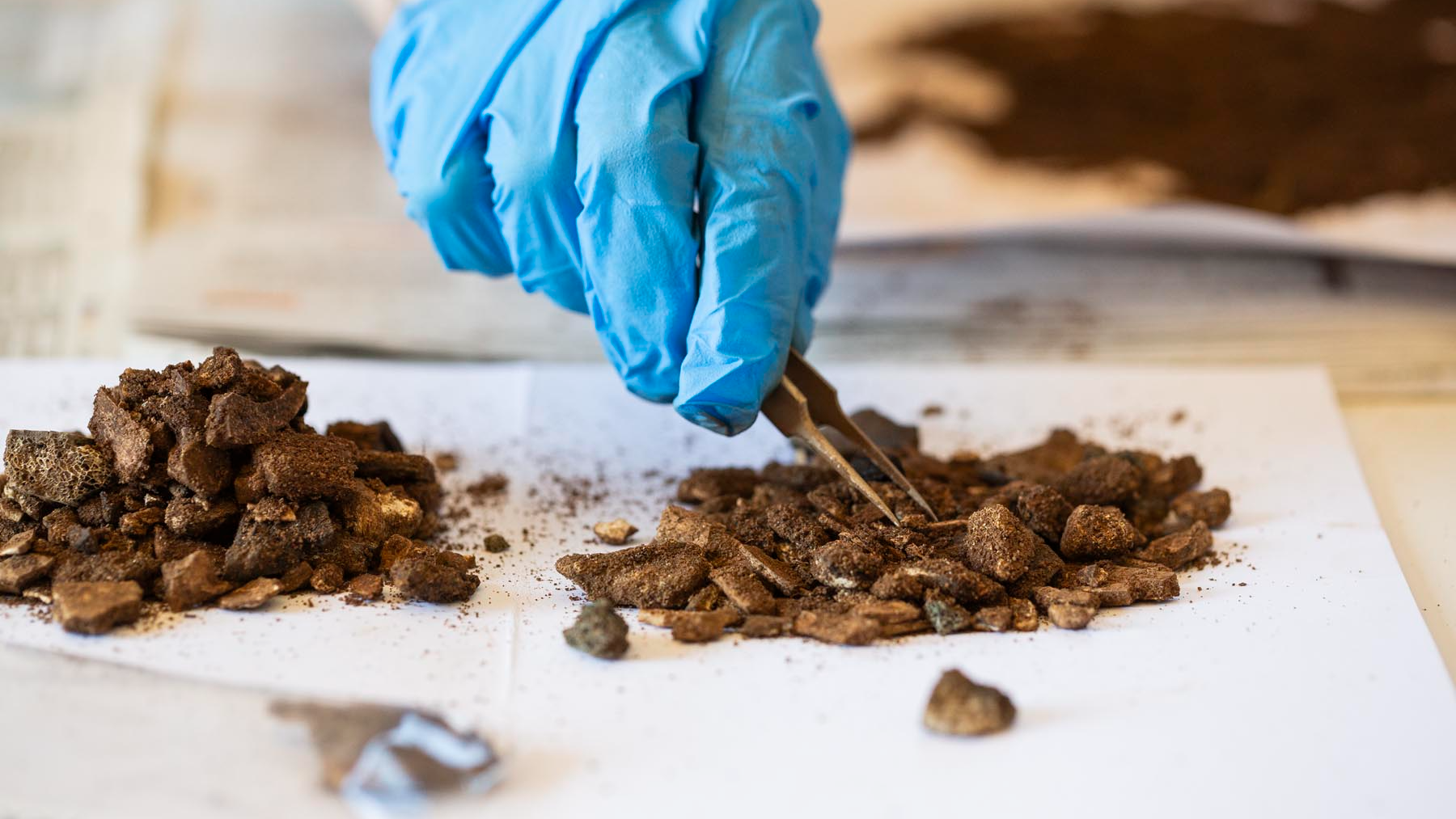 we see a blue gloved hand use tweezers to do a micro-excavation of the Bromeswell bucket's contents.