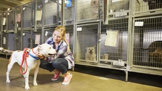 Volunteer with dog at animal shelter center