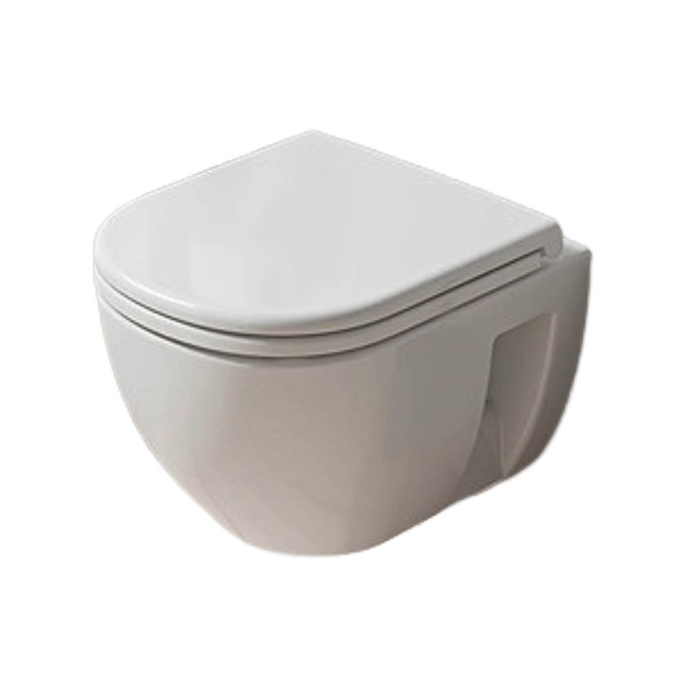 Compact Rimless Toilet