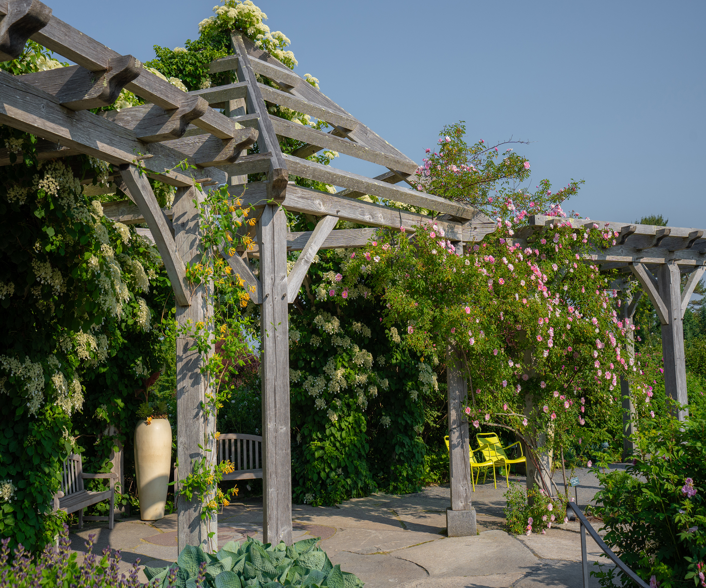 Arbor garden at the Coastal Maine Botanical Gardens