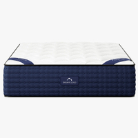 DreamCloud Hybrid mattress (queen size): $1,332 $665 at DreamCloud
Cheapest ever: